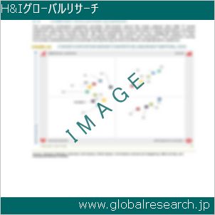 グローバルリサーチ調査レポートのイメージ